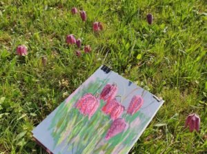 Fleurs au pastel sec d’après nature