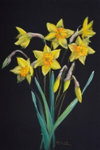 Peindre les fleurs de printemps au pastel sec