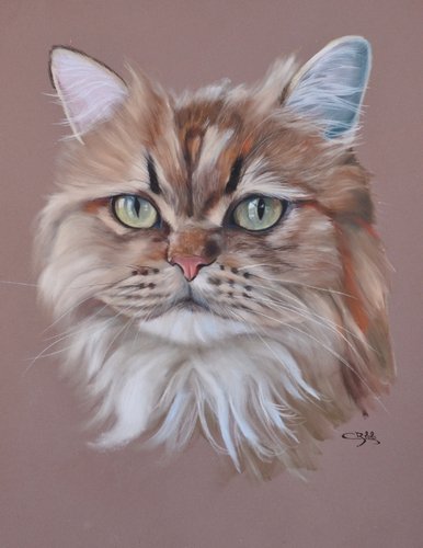 portrait panpastel