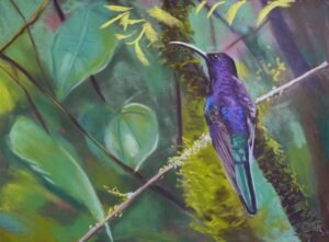 Oiseau au pastel sec