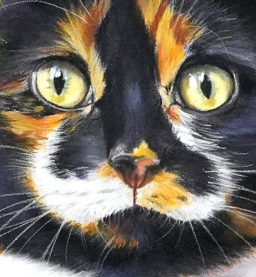 pastel sur pastelmat