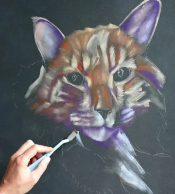 chat aux panpastels