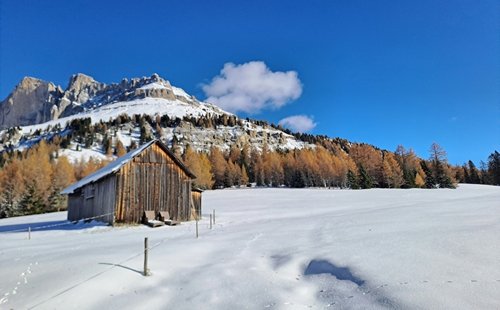 paysage neige